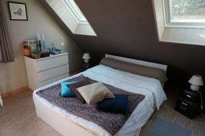 Chambres d'hotes/B&B Le Petit Chaton : Chambre Double 