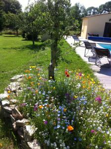 Hebergement Borie Grande : photos des chambres