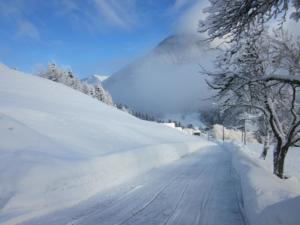 Hebergement Chalet Rose : photos des chambres
