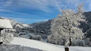 Hebergement Chalet Rose : photos des chambres