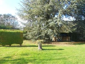 Chambres d'hotes/B&B La Gourmandise : photos des chambres