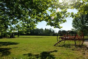Hebergement Gites Domaine des Machottes : photos des chambres