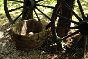 Hebergement Gites Domaine des Machottes : photos des chambres