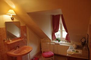 Hotel Domaine De Chatenay - Le Mans : Chambre Double Confort