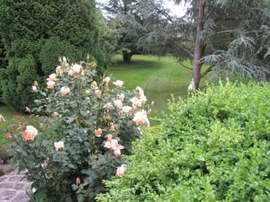 Hebergement Gite Broceliande : photos des chambres