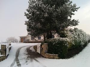 Appartement - Au Vieux Moulin : photos des chambres