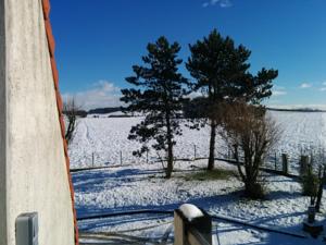 Appartement - Au Vieux Moulin : photos des chambres