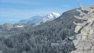 Hebergement Chalet Rose : photos des chambres