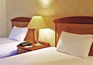 Millennium Hotel Paris Charles De Gaulle : Chambre Lits Jumeaux Club