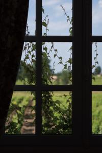 Hotel The Originals Relais du Chateau d'Arche (ex Relais du Silence) : photos des chambres