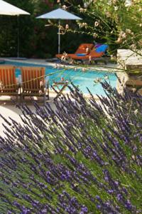 Chambres d'hotes/B&B La Bastide du Clos d'Ezort : photos des chambres