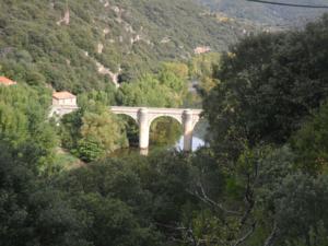 Chambres d'hotes/B&B Ceps Cottage : photos des chambres