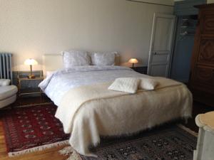 Chambres d'hotes/B&B Chateau La Rametiere : photos des chambres