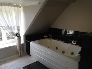 Chambres d'hotes/B&B Chateau La Rametiere : photos des chambres