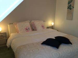 Chambres d'hotes/B&B Chateau La Rametiere : photos des chambres