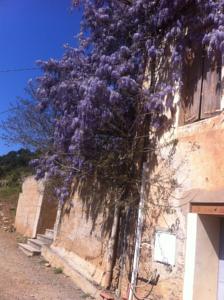 Chambres d'hotes/B&B Ceps Cottage : photos des chambres