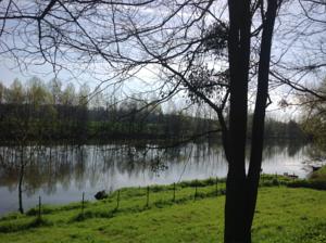 Hebergement Le Bourg Remy Gites : photos des chambres