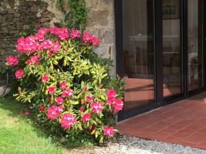 Hebergement Gite du Domaine de Belleville : photos des chambres