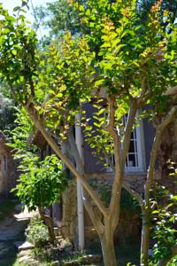 Hebergement Gites Manbarrat : photos des chambres