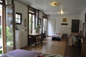 Chambres d'hotes/B&B La Residence d'Art historique Joinville-Le-Pont : photos des chambres