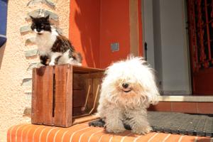Chambres d'hotes/B&B Chambres d'Hotes Arcenciel : photos des chambres