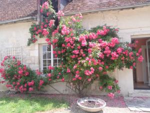 Chambres d'hotes/B&B Chambres D'hotes Du Domaine De Jacquelin : photos des chambres