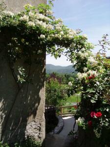 Hebergement Gite de la Toucouero : photos des chambres