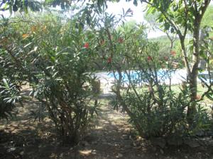 Hebergement Les Aubians : photos des chambres