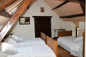 Chambres d'hotes/B&B Les Granges Menillonnes : photos des chambres