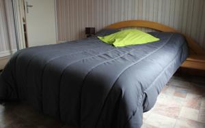 Hotel L Etoile d'Argent : Chambre Double 