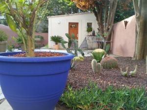 Chambres d'hotes/B&B B&B - Comme a la Maison : photos des chambres