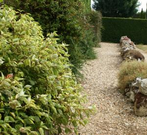 Hebergement Residences Le Clos du Manoir - Self Cooking : photos des chambres