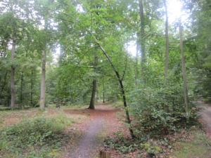 Chambres d'hotes/B&B B&B 2 Zen Etape : photos des chambres