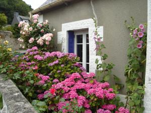 Hebergement Gite de la Chapelle : photos des chambres