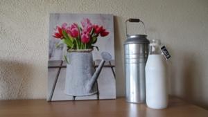 Appartement Camping du Chateau : photos des chambres