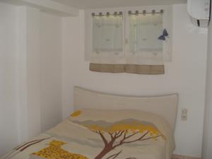 Appartement 10 Des Acacias : photos des chambres