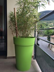 Appartement Ici : photos des chambres