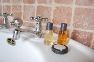 Chambres d'hotes/B&B Le Manoir du Menillet : photos des chambres
