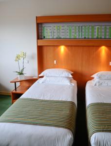 Hotel Best Western Porte Sud de Geneve : photos des chambres
