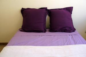Appartement Appart Le Ventoux : photos des chambres