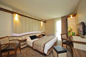 Hotel Mercure Castres L'Occitan : photos des chambres