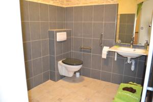 Chambres d'hotes/B&B La Fauconniere : photos des chambres