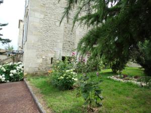 Appartement Gite la Tour des Cabernets : photos des chambres