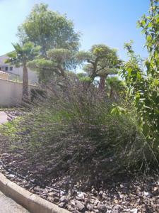 Hebergement Gite Cote Provence : photos des chambres