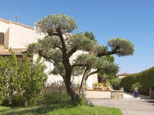 Hebergement Gite Cote Provence : photos des chambres