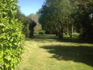 Hebergement Le Bourg Remy Gites : photos des chambres