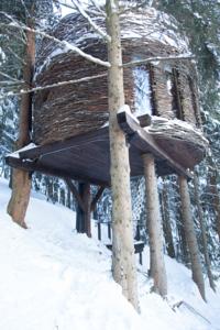 Hebergement Cabane entre terre et ciel : photos des chambres