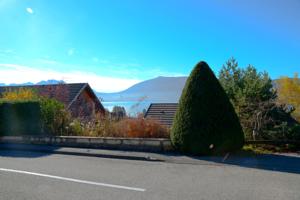 Appartement Entre Lac et Montagne : photos des chambres