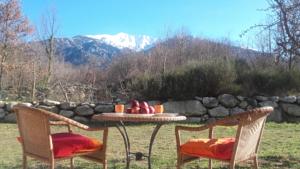 Hebergement Chalet Mont Canigo : photos des chambres