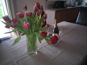 Hebergement Borie Grande : photos des chambres